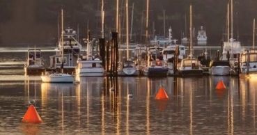 Boja do cumowania duża BOC50S